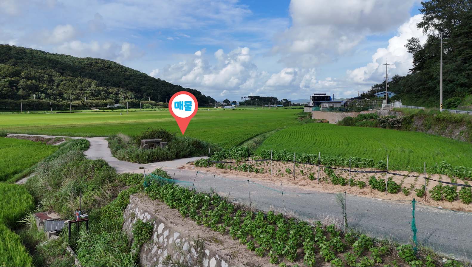 토지 매물 이미지