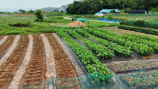 토지 매물 이미지