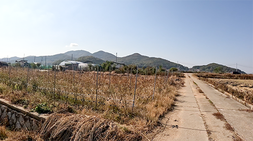 토지 매물 이미지