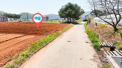 토지 매물 이미지